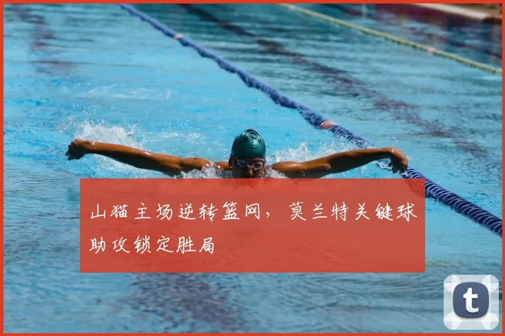 山猫主场逆转篮网,莫兰特关键球助攻锁定胜局