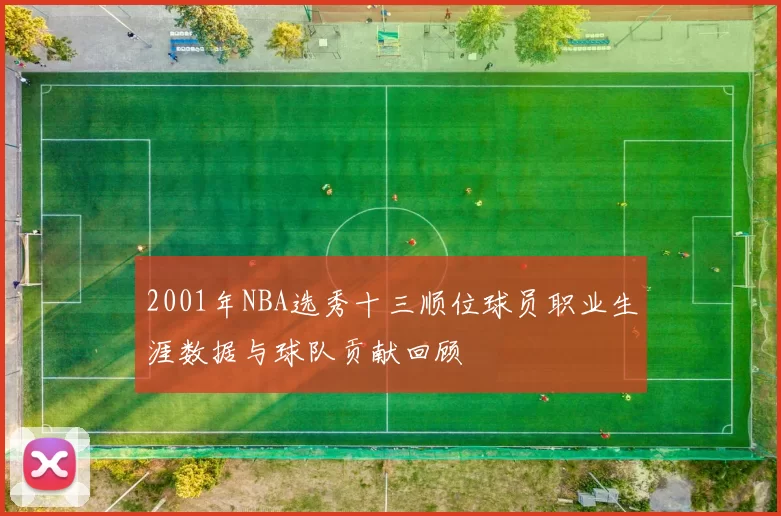 2001年NBA选秀十三顺位球员职业生涯数据与球队贡献回顾