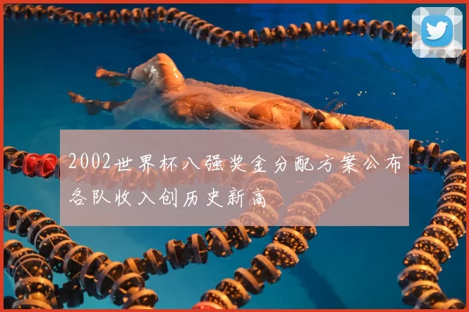 2002世界杯八强奖金分配方案公布各队收入创历史新高