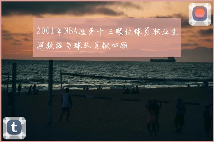2001年NBA选秀十三顺位球员职业生涯数据与球队贡献回顾